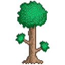 tree75
