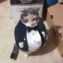 michifino39