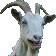 goatjams26