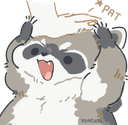 racoonpatscute51