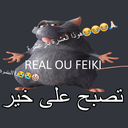realoufeiki41