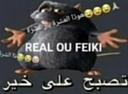 realoufaki10