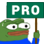 pro