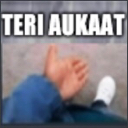 teriaukaat33