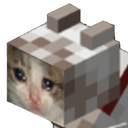 sadminecraftcat