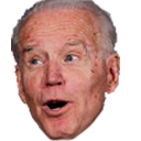 bidenpog