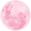 pinkmoon91