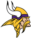 vikingsteam