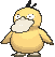 psyduck9