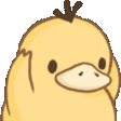 psyduck28