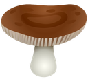 brownmushroom93