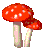mushroom11