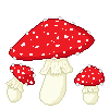 mushrooms84