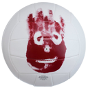 wilson45