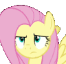 almlpflutterwhat