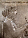 darius32