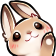 rabbit97