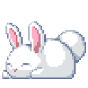 rabbit22