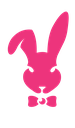 rabbit8