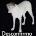 desconfirmo59