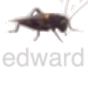 edward13