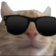 catboss63