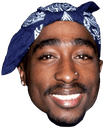 tupac65