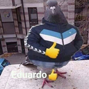 eduardo62