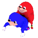 sanic55