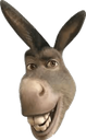 donkey20