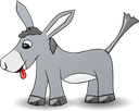 donkey269