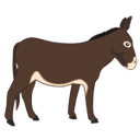 donkey1