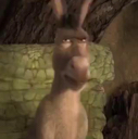 donkey42