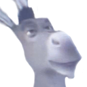 donkey94