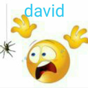 david15