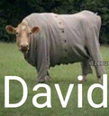david63