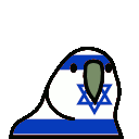 jewishparrot