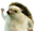 7161hedgehoghell