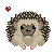 hedgehog31