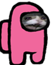 amonguspinksadca