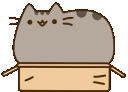 pusheenbox62