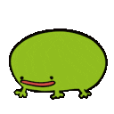 frog73