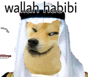 habibi11