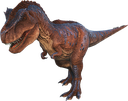 rex22