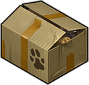 puppyinabox31