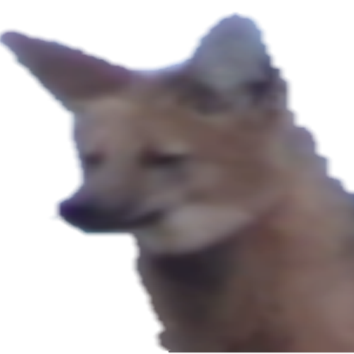 him