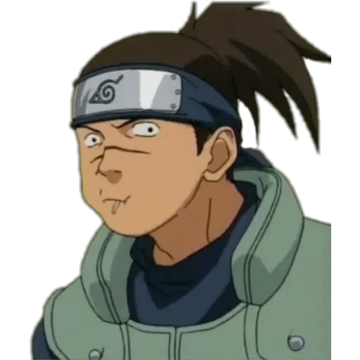 iruka2