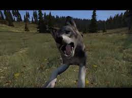 dayzwolf