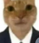 catpresident