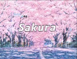 sakura